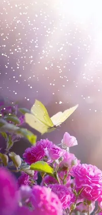 clw_1665976069569 Live Wallpaper
