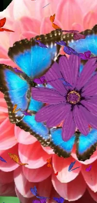 Butterfly flower Live Wallpaper
