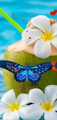 mariposa Live Wallpaper