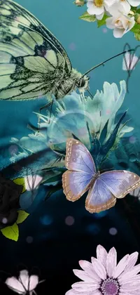 papillon  Live Wallpaper