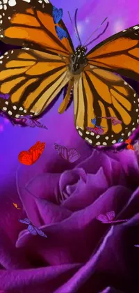 This live wallpaper features a purple butterfly perched elegantly on a vibrant purple rose, adding a touch of beauty to your phone background or profile picture