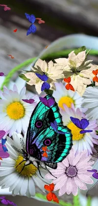 This live wallpaper showcases a striking green butterfly perched on a white ribbon, with a vibrant colorized photo