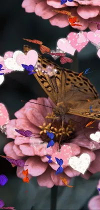 I love butterflies  Live Wallpaper
