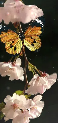 Flower Pollinator Plant Live Wallpaper