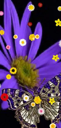Flower Pollinator Purple Live Wallpaper