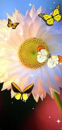 Flower Pollinator Wheel Live Wallpaper