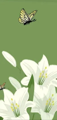 Flower Pollinator White Live Wallpaper