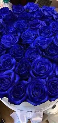 Flower Purple Blue Live Wallpaper
