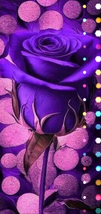 This live wallpaper features a stunning purple rose resting on a vibrant purple background