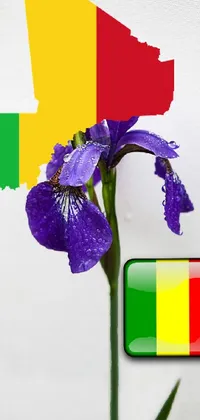 Flower Purple Rectangle Live Wallpaper
