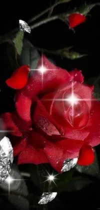 This live wallpaper is a gorgeous and sophisticated design featuring a red rose surrounded by sparkling diamonds on a black background, perfect for adding a touch of glamour and romance to your phone