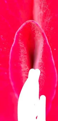 This is a beautiful live wallpaper for your phone displaying a close-up shot of a hand reaching out to a vibrant red flower, accompanied by a pink fur bunny in close-up with its mouth open