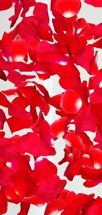This phone live wallpaper features a digital rendering of a vase filled with red rose petals, perfect for adding a romantic touch to your phone's aesthetic