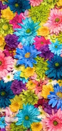 This colorful phone live wallpaper features a close-up view of vibrantly patterned and beautifully colored flowers which range from bright pink, purple, and yellow to more subtle blues, greens, and oranges