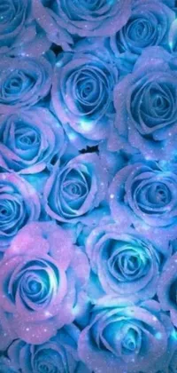 Flower Rose Live Wallpaper