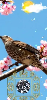 Flower Sky Bird Live Wallpaper