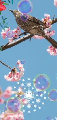 Flower Sky Bird Live Wallpaper
