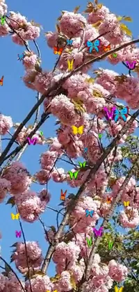 Flower Sky Branch Live Wallpaper