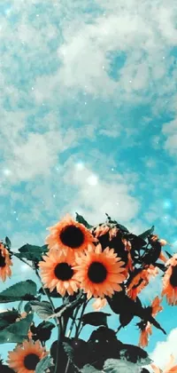 Flower Sky Cloud Live Wallpaper