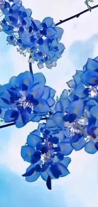 Flower Sky Cloud Live Wallpaper