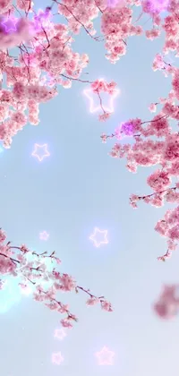Sakura Cherry Blossom Live Wallpaper