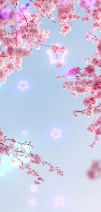 Sakura Cherry Blossom Live Wallpaper