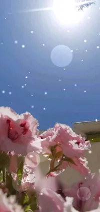 Flower Sky Light Live Wallpaper