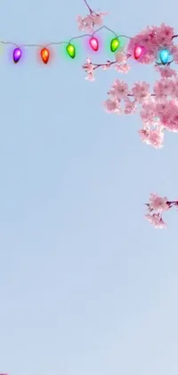 This phone live wallpaper showcases a breathtaking sakura tree standing before a light blue clear sky