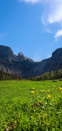 This phone live wallpaper features a breathtaking green field with yellow flowers swaying in the gentle breeze and majestic mountains in the background