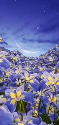 Flower Sky Plant Live Wallpaper