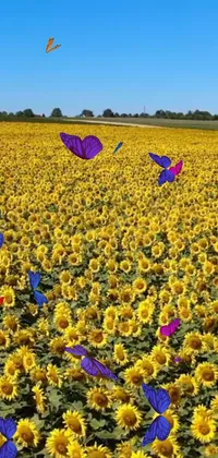 This lively phone live wallpaper boasts a sunflower field replete with fluttering butterflies against a colorized background