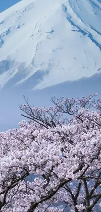 Flower Sky Snow Live Wallpaper