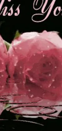 Flower Text Rose Live Wallpaper