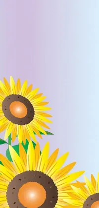Flower Text Sunflower Live Wallpaper