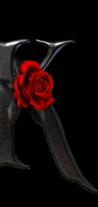 Flower Tool Rose Live Wallpaper