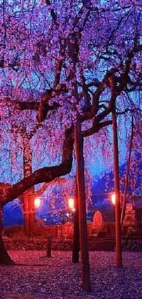 This phone live wallpaper showcases a digital rendering of a serene park with a central tree, featuring vibrant blue and pink lighting and red lanterns in the background
