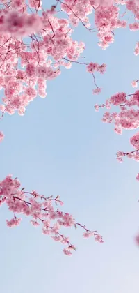 Flower Tree Sky Live Wallpaper