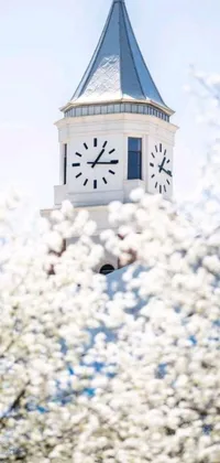 This phone live wallpaper features a vintage-style clock tower with white flowers in the foreground, set amidst a beautiful cherry blossom backdrop
