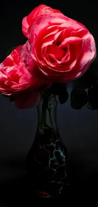 Flower Vase Petal Live Wallpaper