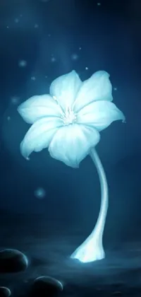 Flower Water Atmosphere Live Wallpaper