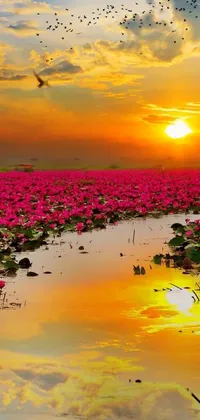 This live wallpaper features a calming and peaceful scene of a large body of water with a bird flying above it, complemented by lotus flowers, a pink sun, a flowery wallpaper, and a field of pink flowers against a blue sky with fluffy white clouds