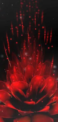 Flower Water Fireworks Live Wallpaper