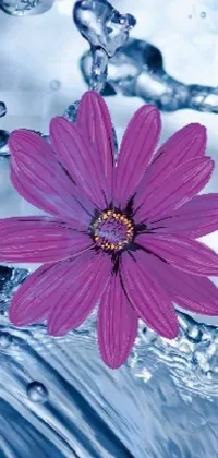 Flower Water Liquid Live Wallpaper