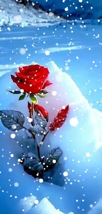 This phone live wallpaper showcases a stunning digital art image of a red rose amidst snowy mountains