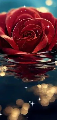 This live wallpaper features a graceful red rose gently floating on a serene body of water, surrounded by lush greenery