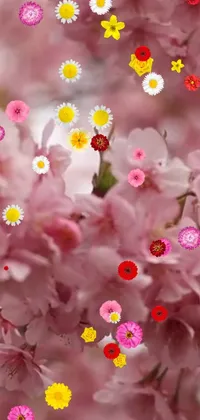 This phone live wallpaper features a vibrant image of beautiful flowers blooming on a tree