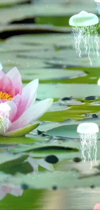 Flower Water Plant Live Wallpaper