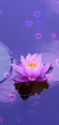 This phone live wallpaper boasts a serene and calming scene, featuring a pink flower floating atop a tranquil pond with frogs and lilypads in early morning light