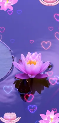 water lily Live Wallpaper