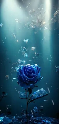 Flower Water Sky Live Wallpaper